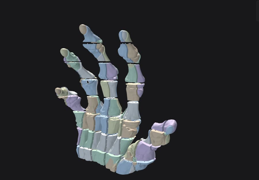 Exploded view of a skeleton hand cut into colored pieces